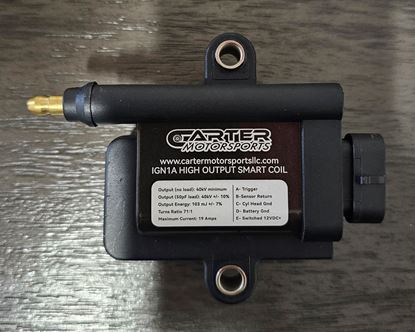 Picture of IGN1A Coil